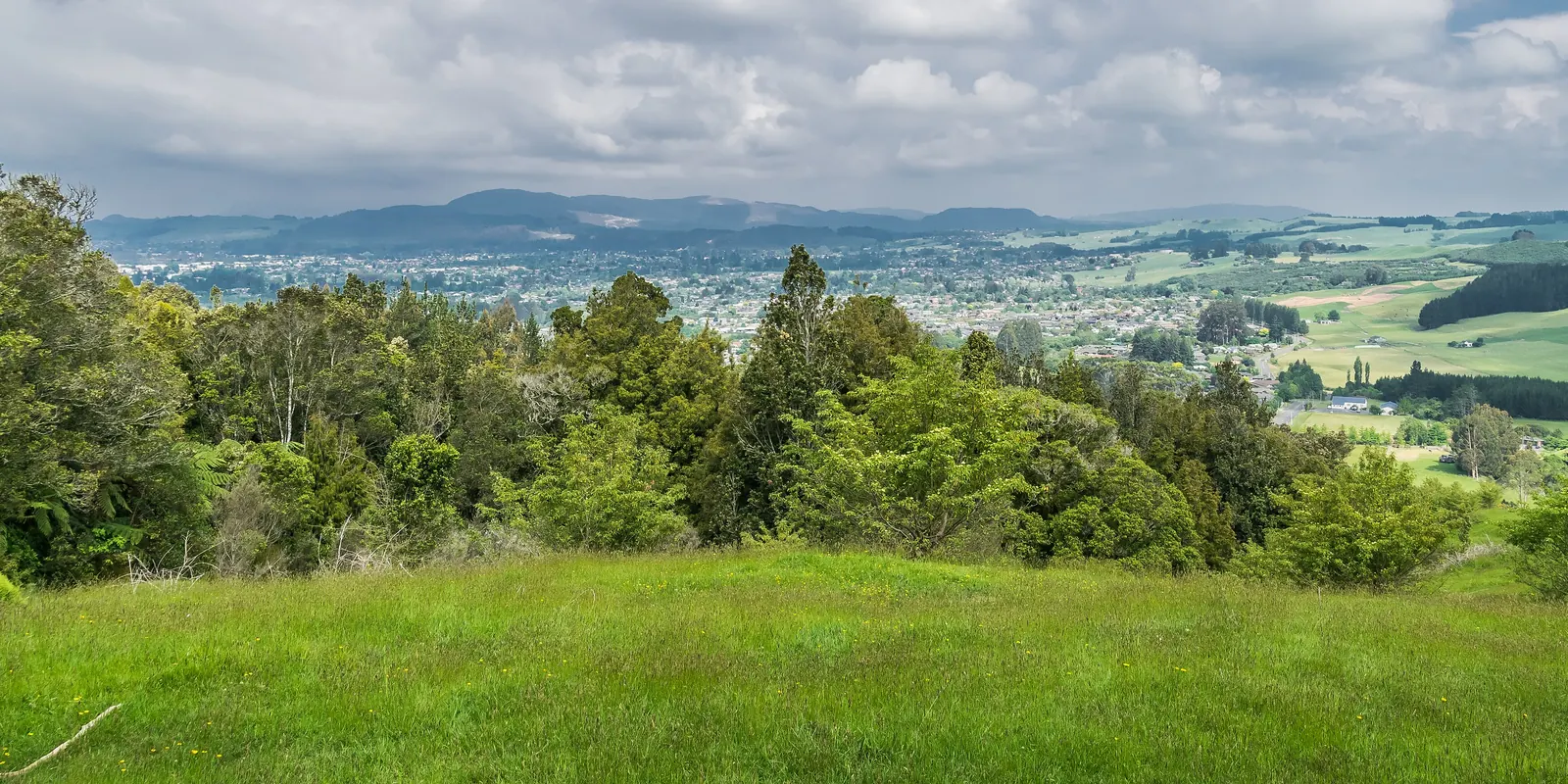 Green paddocks and patches of native forest running down to farmland and low hills, seen from a hillside viewpoint above Ngongotahā on a day of broken cloud